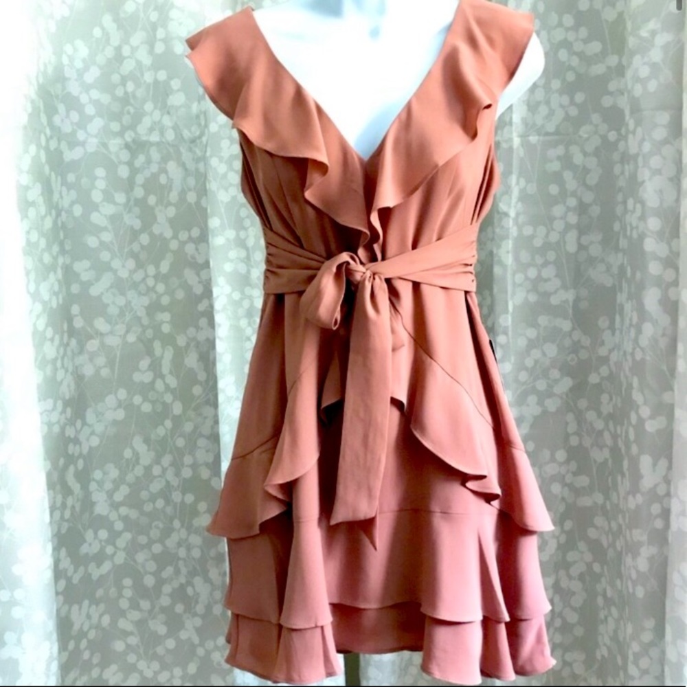 Express 00P Pink Ruffle Mini Dress - Picture 3 of 8